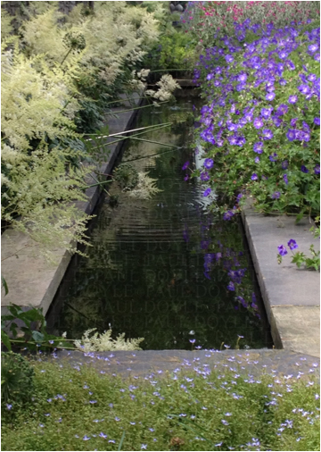 Palmerston Garden